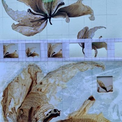 Colagem-2018.-25x17-1